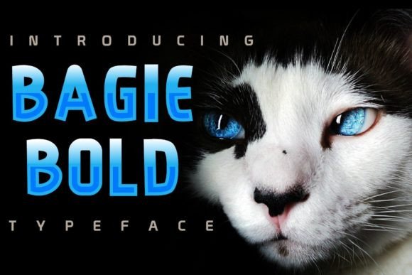 Bagie: A Modern Script Font for Creative Projects